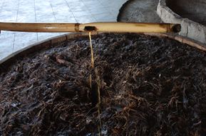 発酵中の液を取り出して確認する